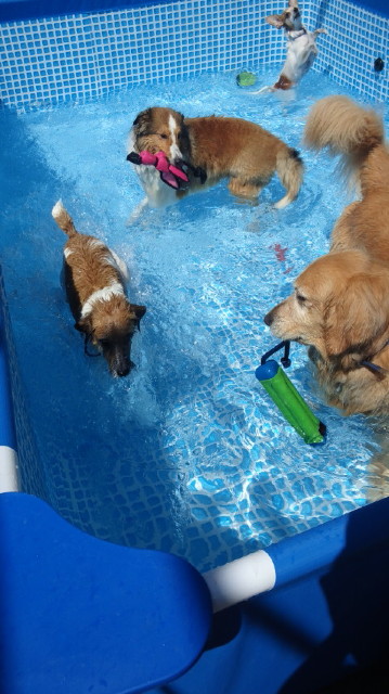 ファイル 3239-1.jpg