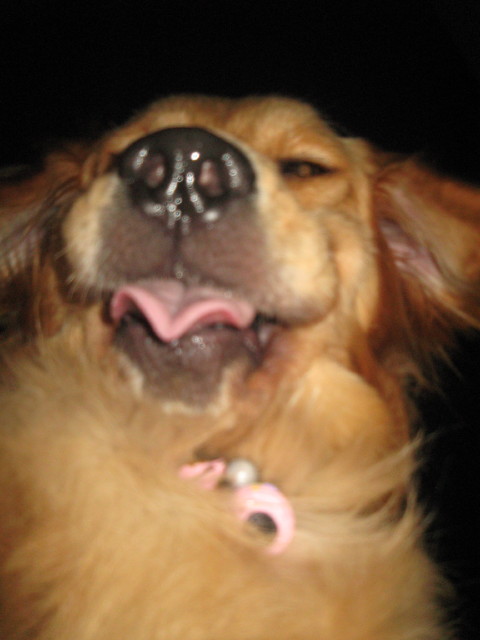 ファイル 324-5.jpg