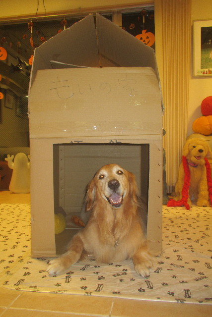 ファイル 3241-1.jpg