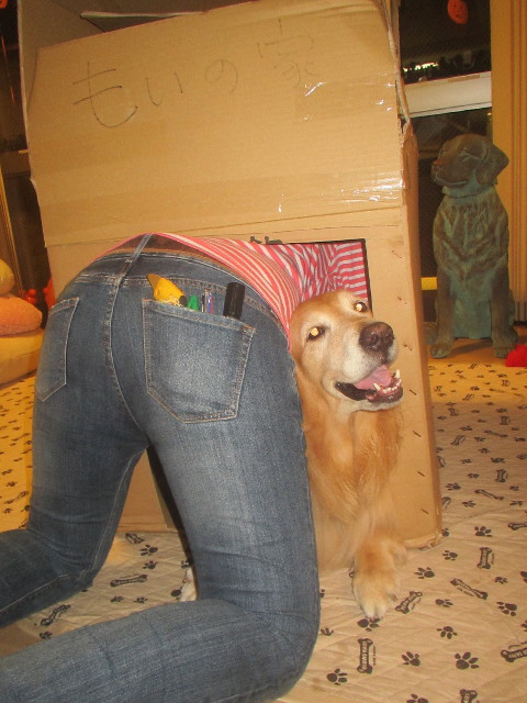 ファイル 3241-3.jpg