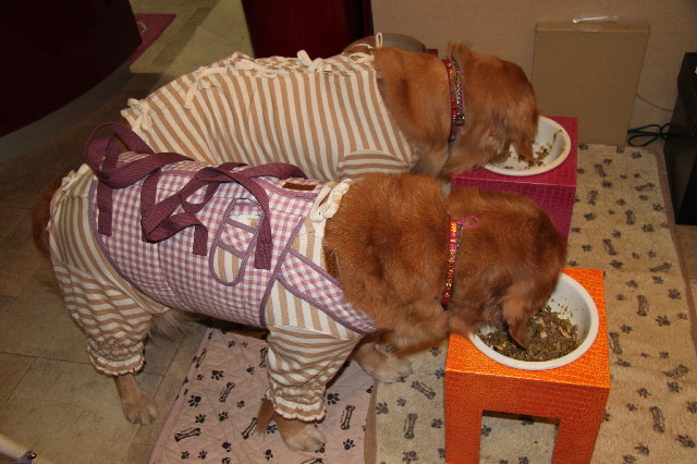 ファイル 3242-5.jpg