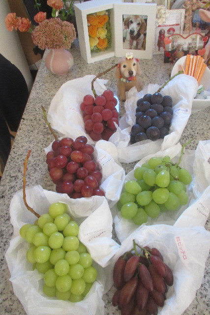 ファイル 3243-5.jpg