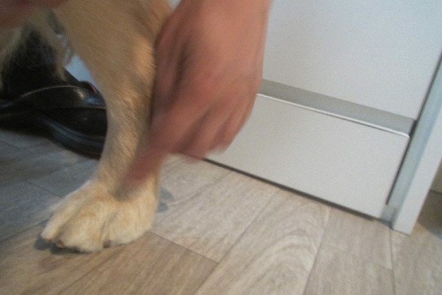 ファイル 3246-4.jpg