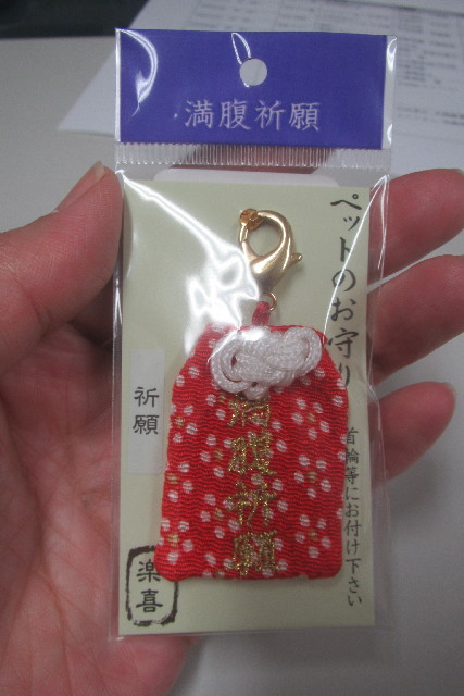 ファイル 3247-2.jpg
