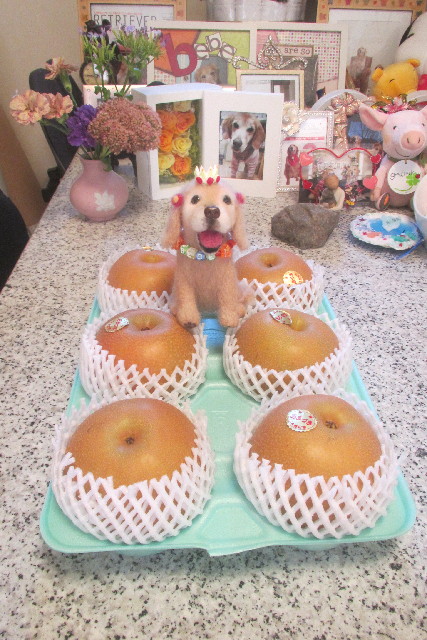 ファイル 3249-1.jpg