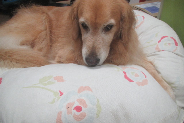 ファイル 3250-3.jpg