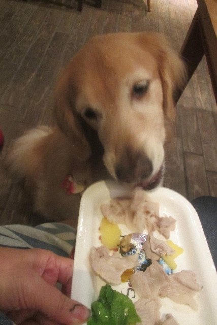 ファイル 3251-3.jpg