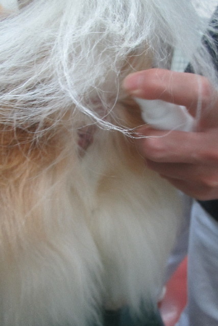 ファイル 3252-4.jpg