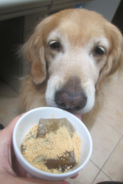 ファイル 3253-3.jpg