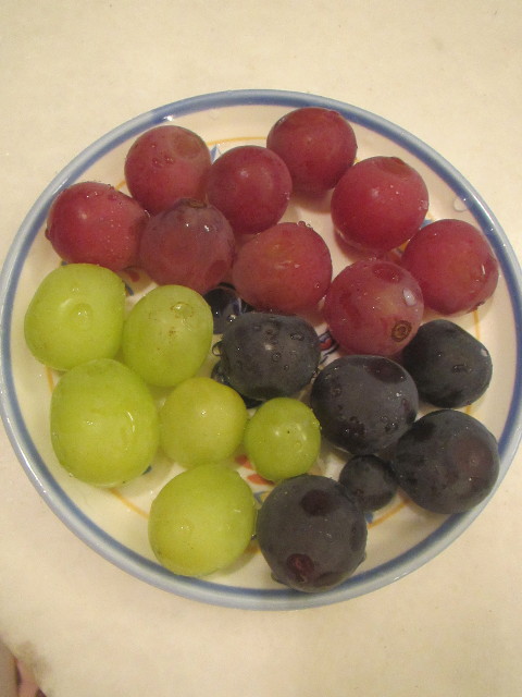 ファイル 3253-5.jpg