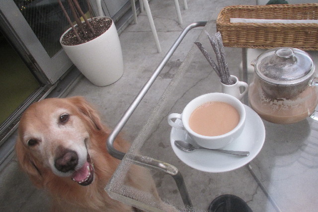 ファイル 3254-3.jpg