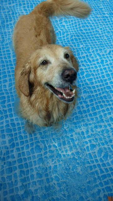 ファイル 3255-2.jpg