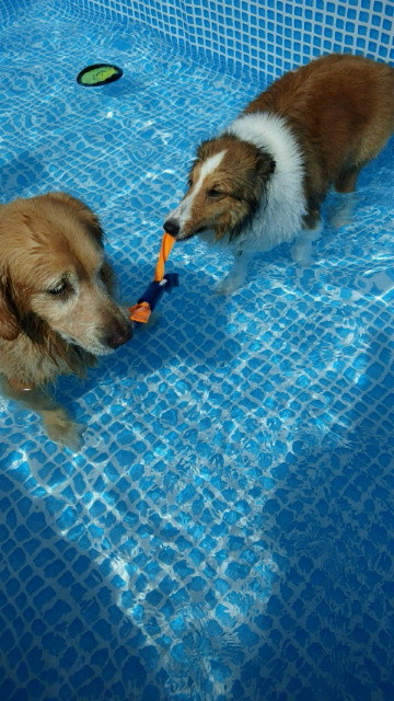 ファイル 3255-5.jpg