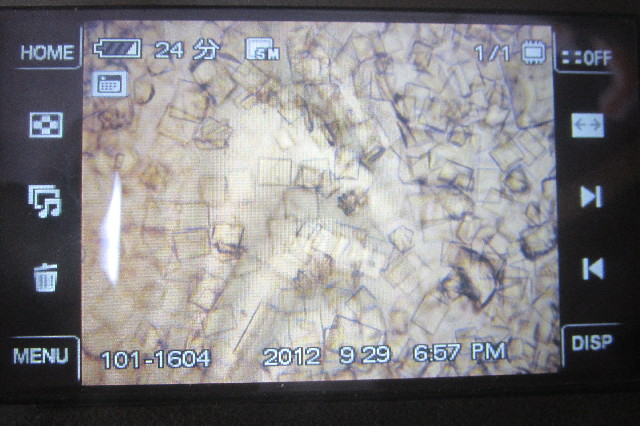 ファイル 3257-1.jpg