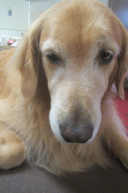 ファイル 3257-2.jpg