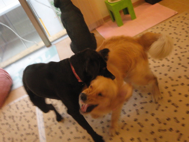 ファイル 326-2.jpg