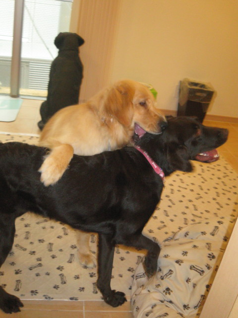 ファイル 326-4.jpg