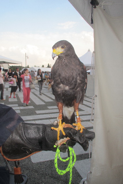 ファイル 3267-3.jpg