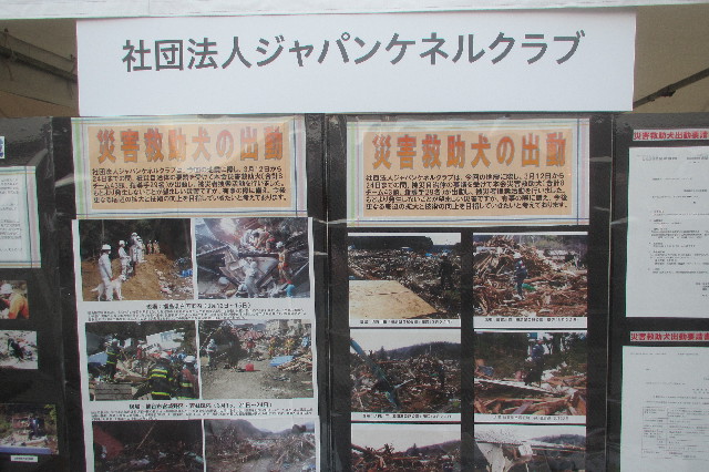 ファイル 3268-1.jpg