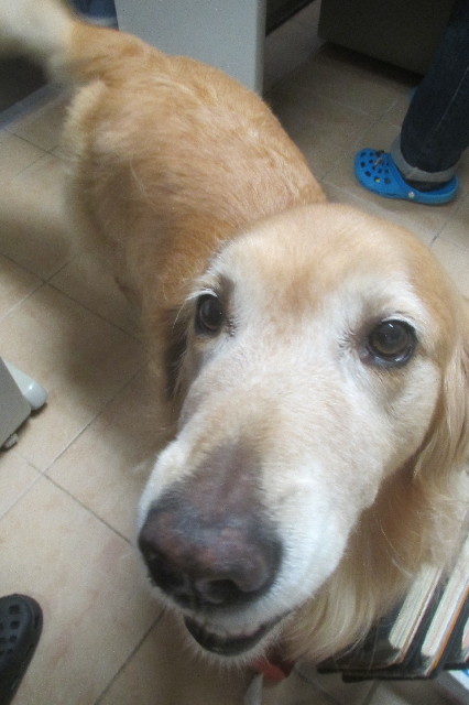 ファイル 3269-1.jpg