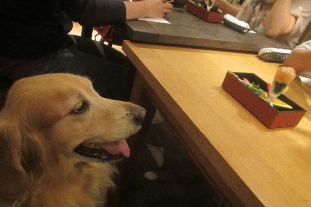 ファイル 3269-2.jpg