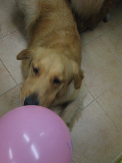 ファイル 327-2.jpg