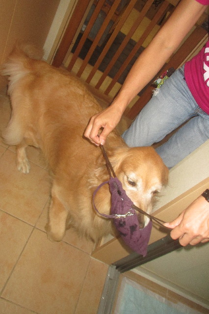 ファイル 3270-5.jpg