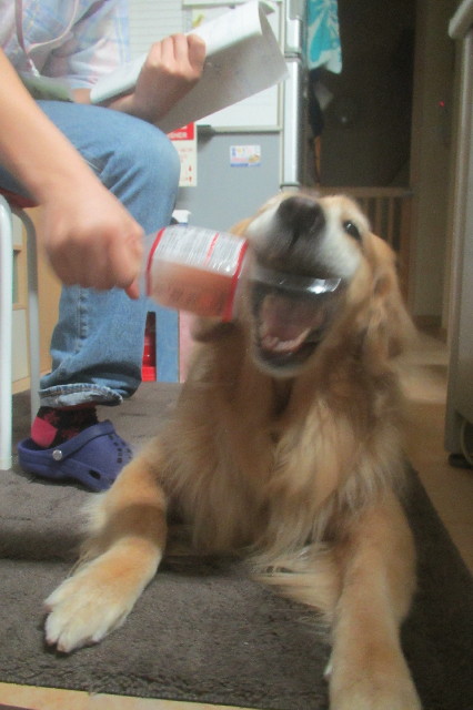 ファイル 3272-2.jpg