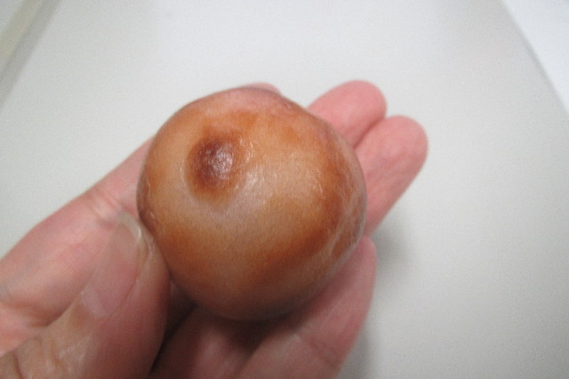 ファイル 3273-3.jpg