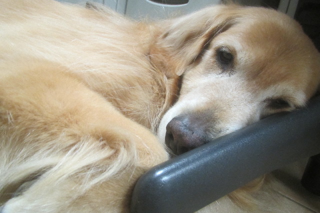 ファイル 3276-1.jpg