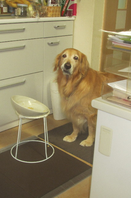 ファイル 3276-2.jpg