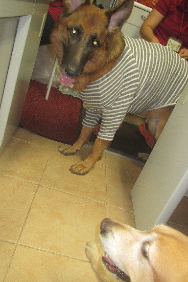 ファイル 3276-4.jpg