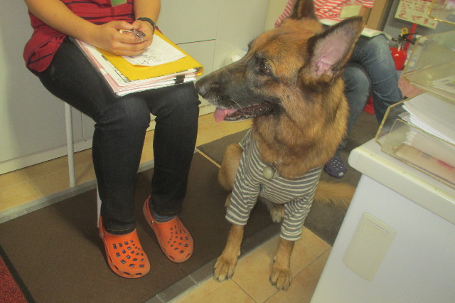 ファイル 3276-5.jpg