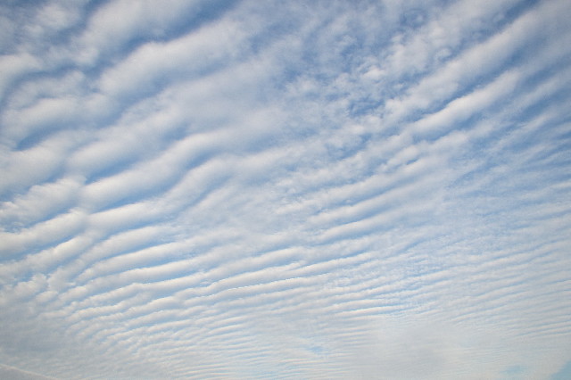 ファイル 3277-1.jpg