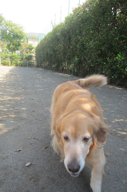 ファイル 3279-4.jpg