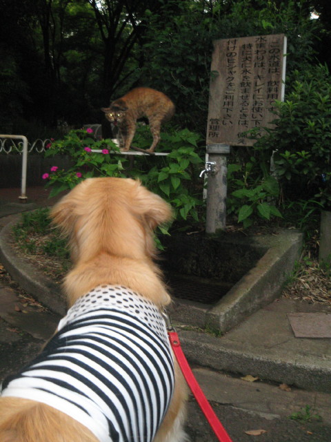 ファイル 328-1.jpg