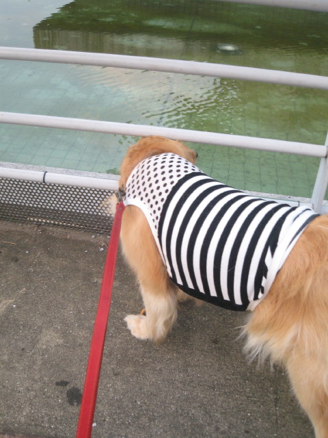 ファイル 328-2.jpg