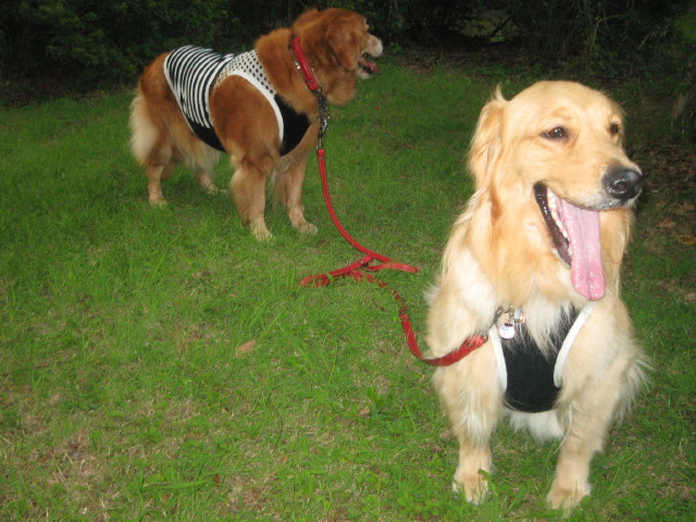 ファイル 328-4.jpg