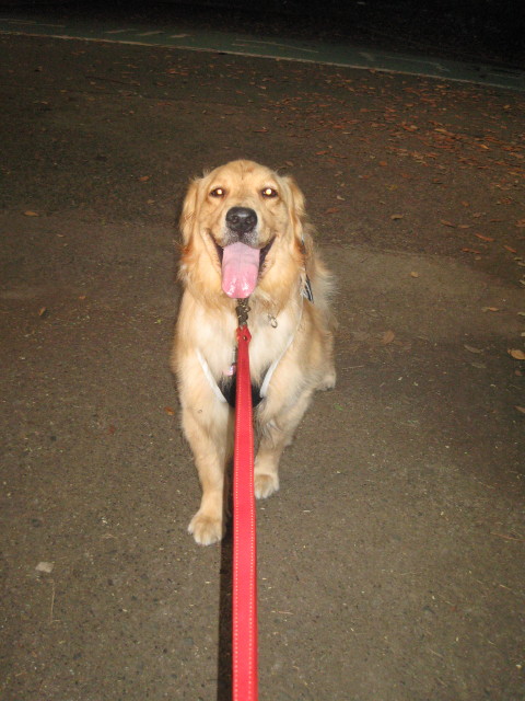 ファイル 328-5.jpg