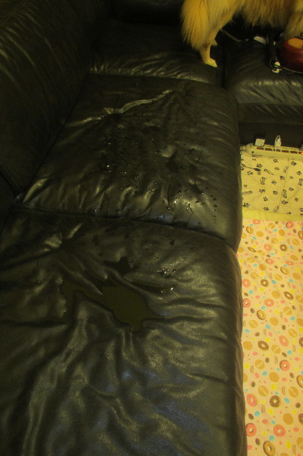 ファイル 3282-2.jpg