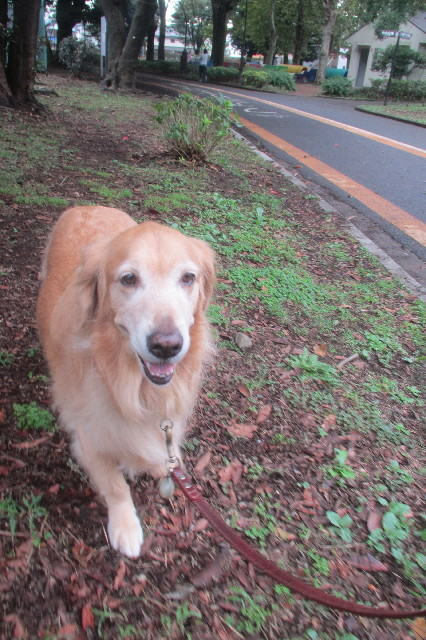 ファイル 3282-4.jpg