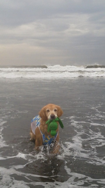 ファイル 3283-1.jpg