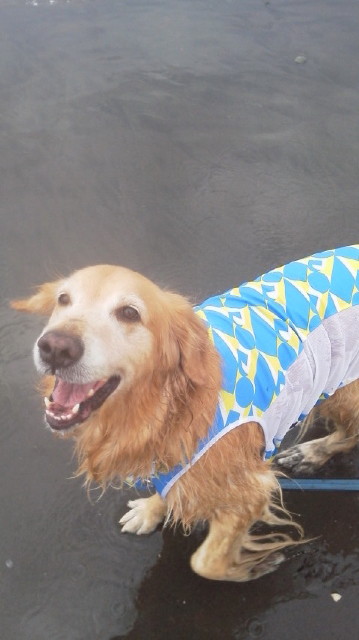 ファイル 3283-3.jpg