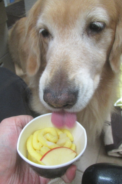 ファイル 3284-3.jpg