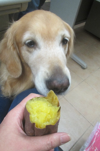 ファイル 3284-5.jpg