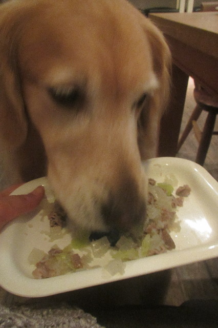 ファイル 3287-5.jpg