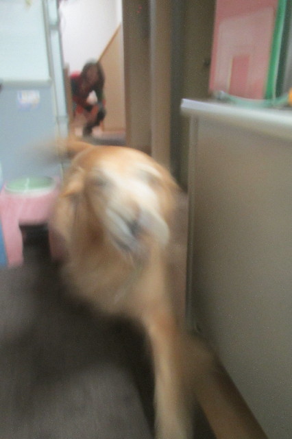 ファイル 3288-1.jpg