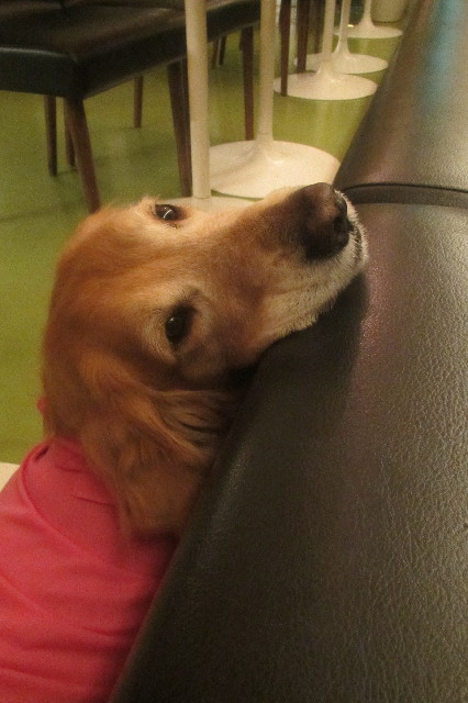 ファイル 3288-5.jpg