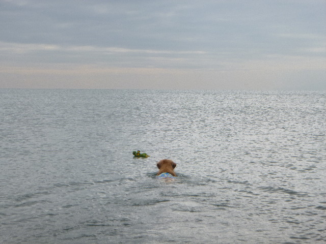 ファイル 3291-3.jpg