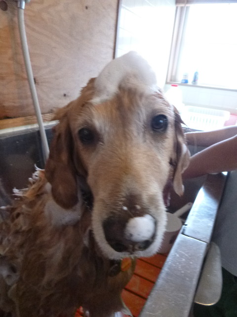 ファイル 3291-5.jpg